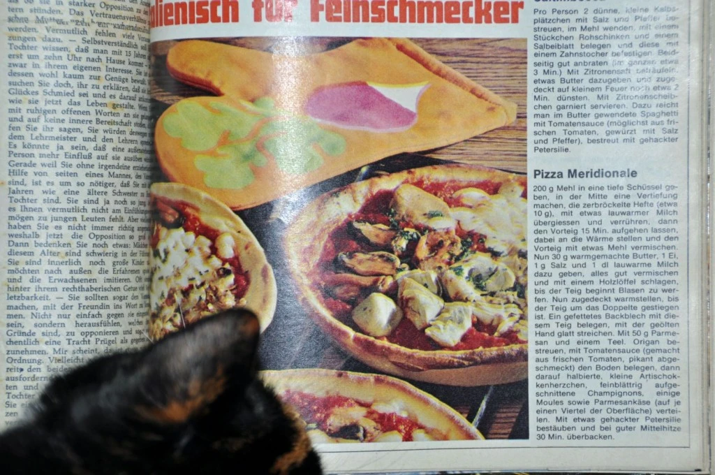 only real with cat on the photo