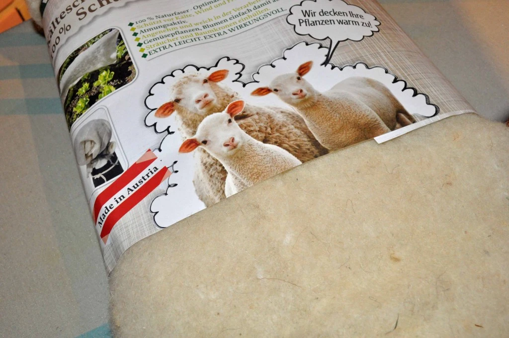 the sheep say "we tuck your plants in"