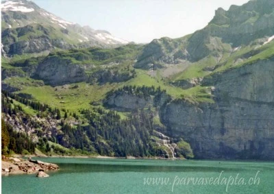 parvasedapta.ch - analogue IV