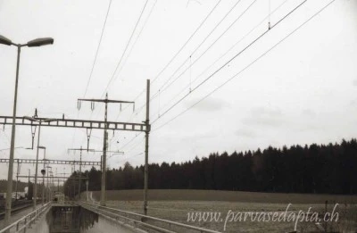 parvasedapta.ch - analogue V